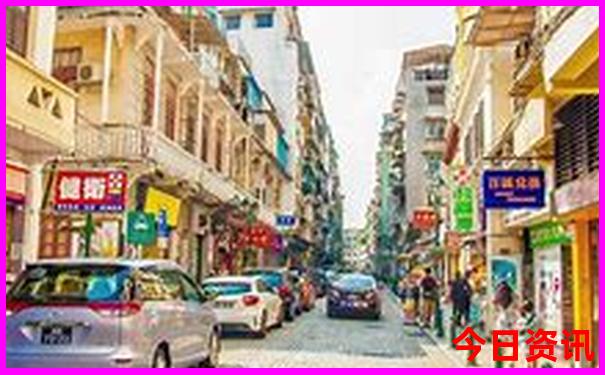 2025年乙巳年(蛇年)综合资料大全